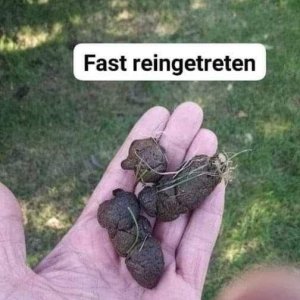 Gerade noch gesehen!
