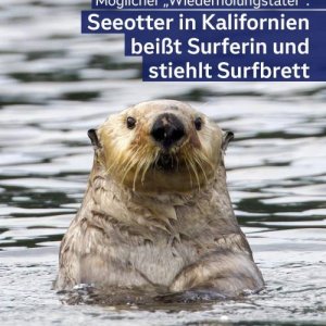 Otten dreht wieder frei