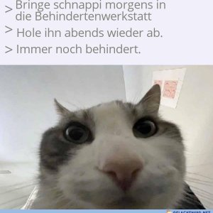 Guckkadser