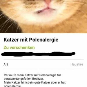 Cutze nun auch fremdenfeindlich