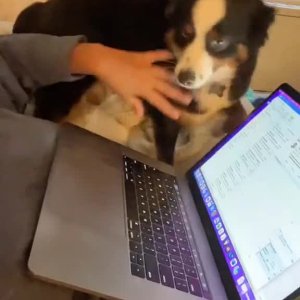 Mach Home Office haben se gesagt