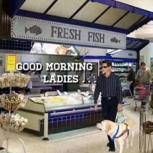 Good morning ladies