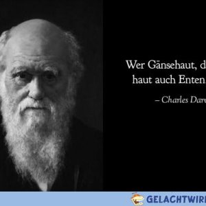 Kleine Weisheit