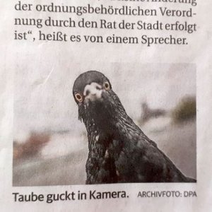Keine Fake News