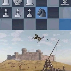 Schach erklärt - Für Anfänger