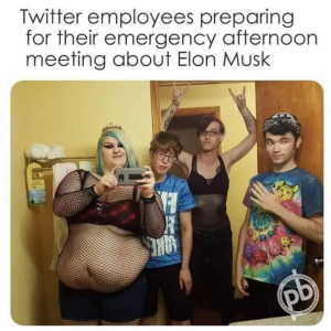 Twitter und Elon Musk