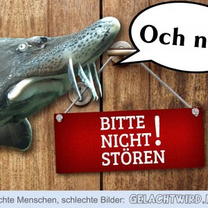 Stör.jpg