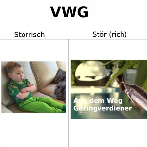 Kann ich hier ne VWG abladen