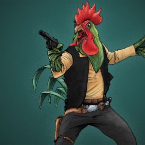 Hahn Solo