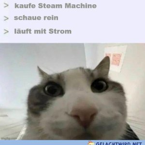 Fol der Betrug