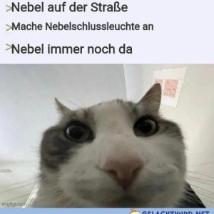 Ich werde diesem Nonsens ein Ende bereiten