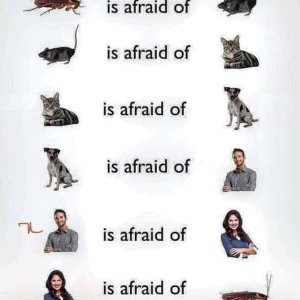 Circle of life
