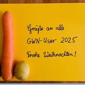 Frohe Weihnachten !