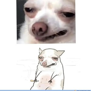 Flachwixer