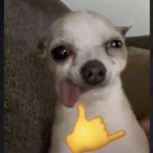 yoo was geht Menschen