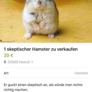 Verdammter Olaf