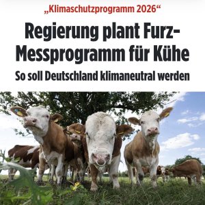 ENDLICH!