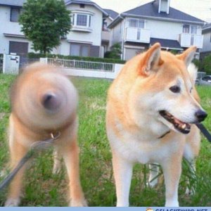 lol der Hunt
