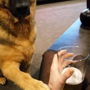 Stahp