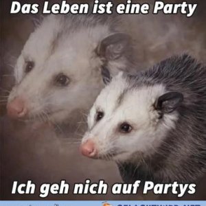das Lebne