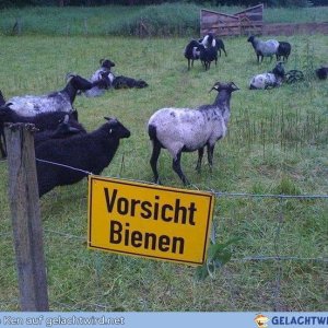 Vorsicht bidde
