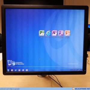 P-E-N-I-S 😲