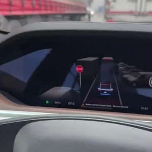 Tesla beste wieder