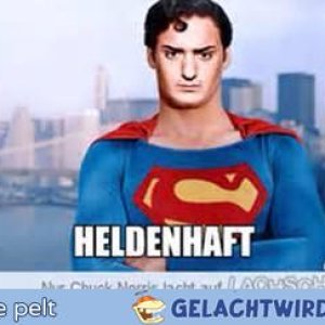 Lel der nasenbär