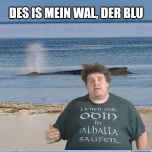 Bluwal