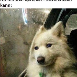 Es ist mühsam
