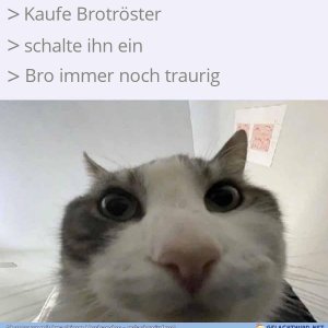 Brotröster