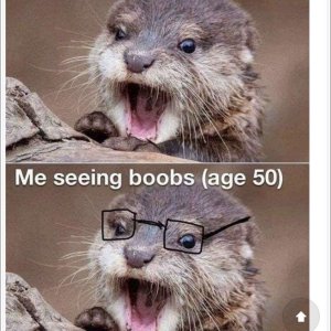 Boobs