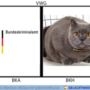 VWG BKA