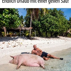 Endlich!