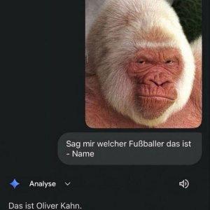 Korrekt
