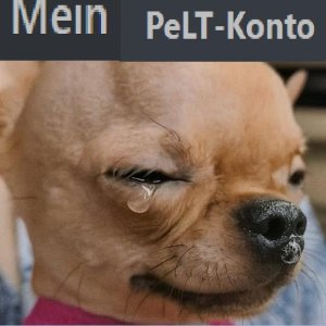 voll gemeini