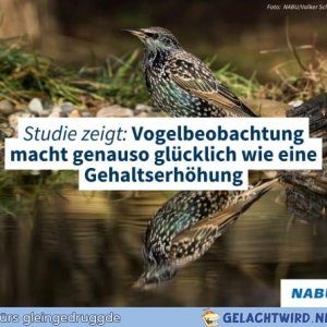 Ihr wisst was ihr jetzt tun solltet