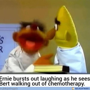 Krebs haha