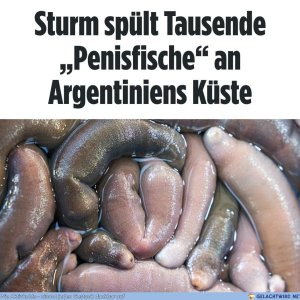 lol der fisch