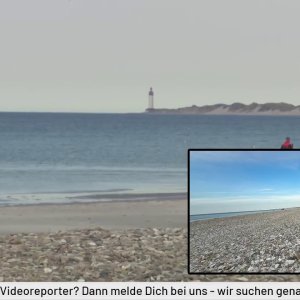 LIVE: Buckelwal Timmy Hope vor Dänemarks Küste