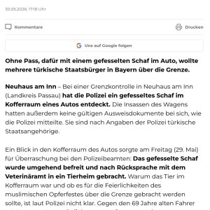Armes Schaf