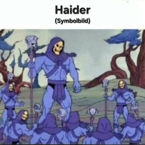 VA - Haider