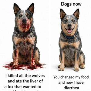 Doggo pls