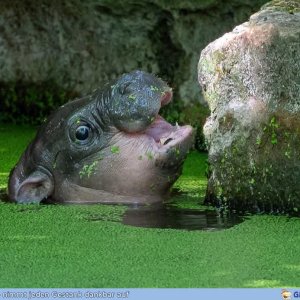 Willst Du wirklich, dass Dein Badewasser so hoch ist?