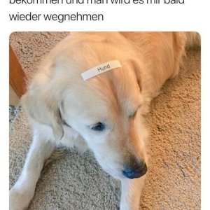 Nix darf man