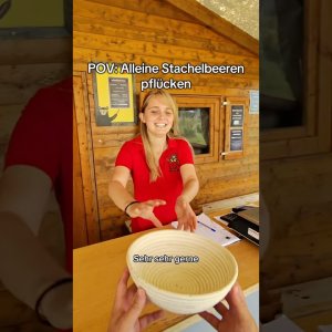 Was kann ich mit so vielen Stachelbeeren machen? #pov #allein #nett #entspannung #garten