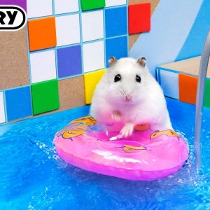 Hamsti im Paradies 🐹