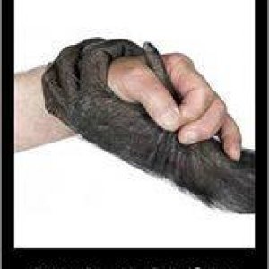 thats_racism.jpg