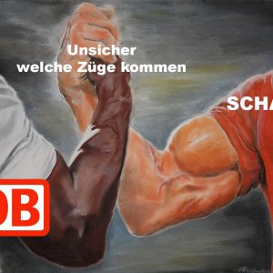 XD