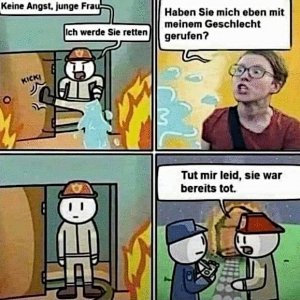 Rettungsversuch gescheitert